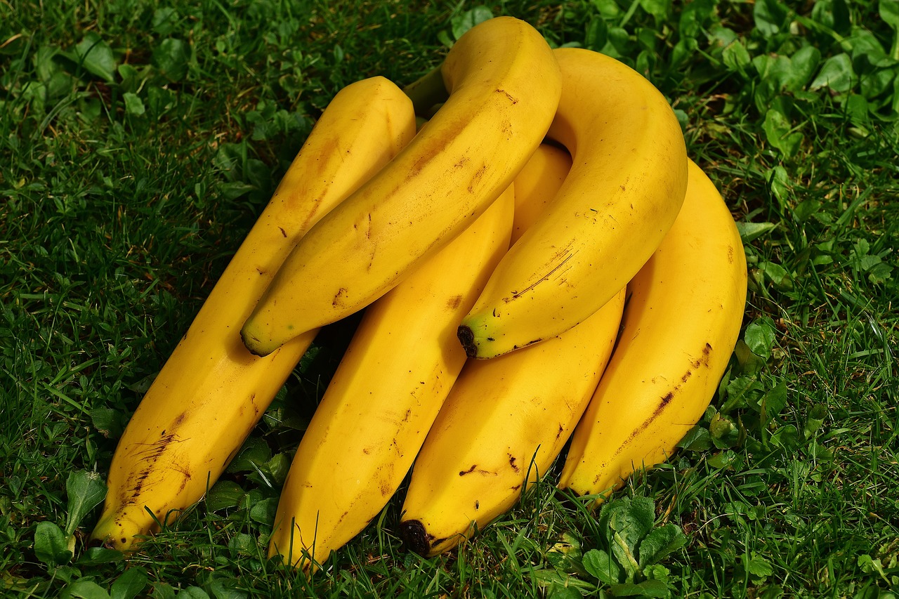 banana prende o intestino