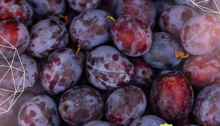 Ameixa seca prende o intestino ou não