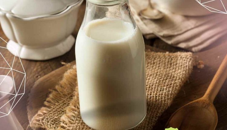 Leite integral prende o intestino Como consumir de forma saudável!