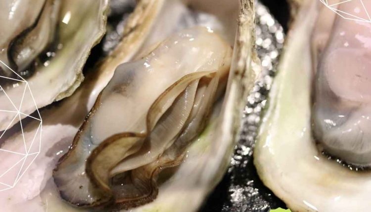 O que é a ostra Prende o intestino ou não