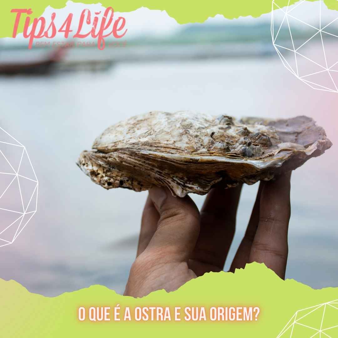 O que é a ostra e sua origem