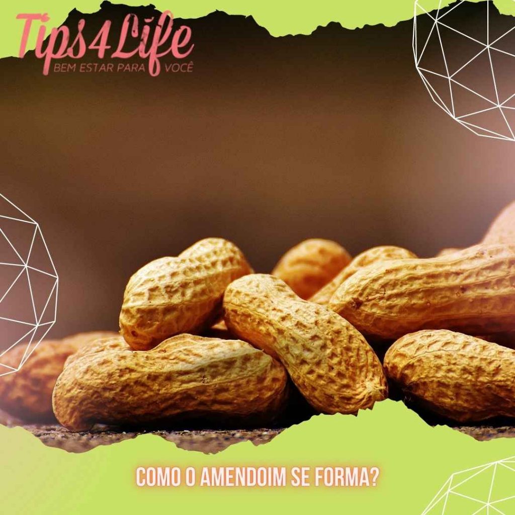 Como o amendoim age no organismo: prende o intestino ou solta? - Tips4Life