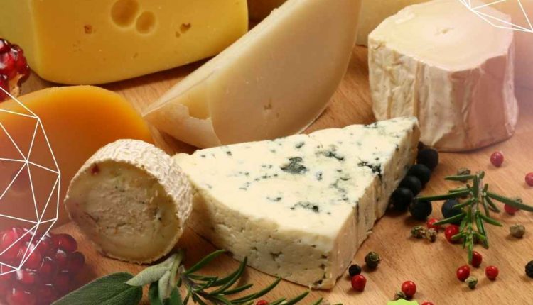 Será que queijo mussarela engorda Descubra aqui!