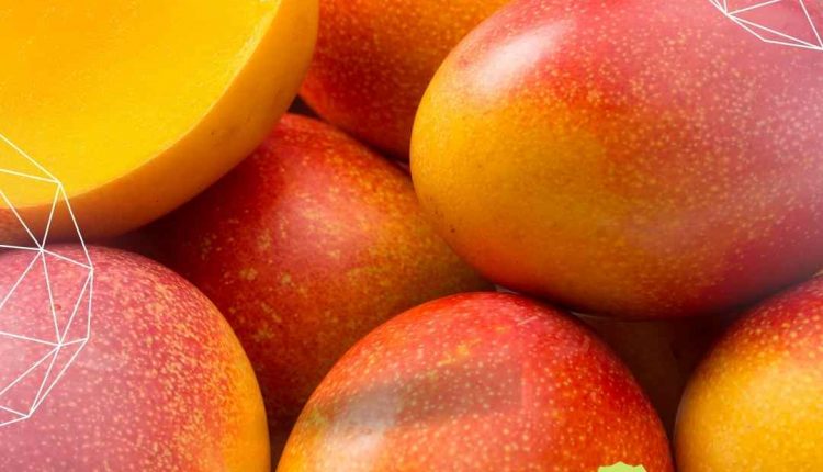 Será que a manga engorda? Conheça os benefícios dessa fruta tropical!