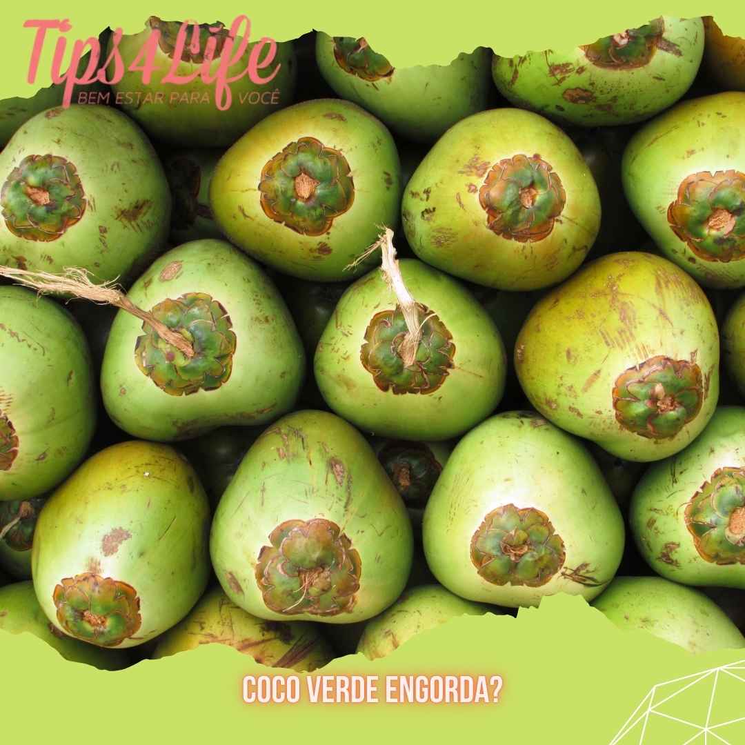 Coco verde engorda