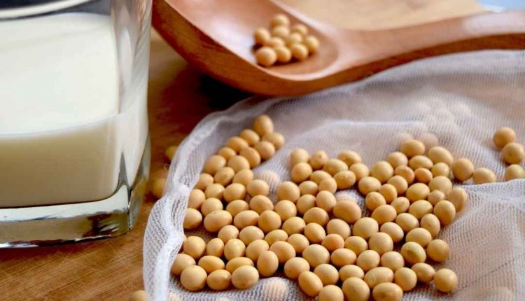 Descubra aqui se leite de soja engorda ou não!