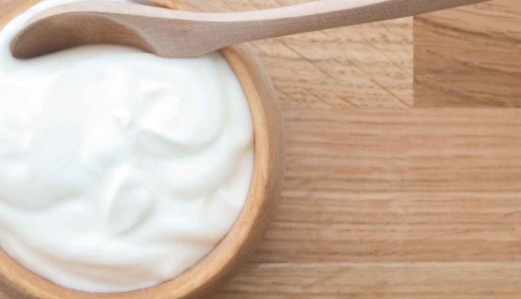 O iogurte natural caseiro engorda