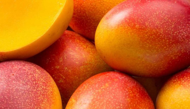 Descubra se a Manga é remoso!