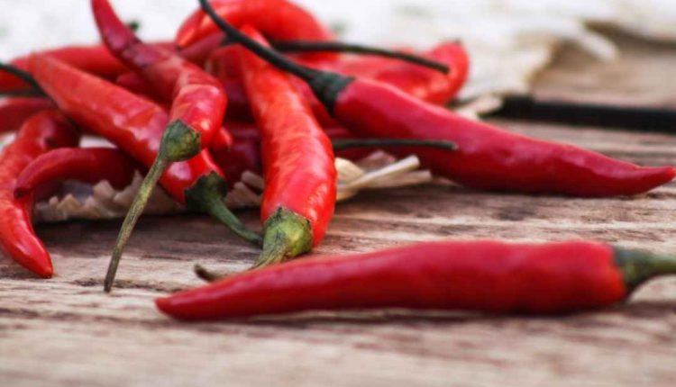 Pimenta é remoso ou não Saiba!