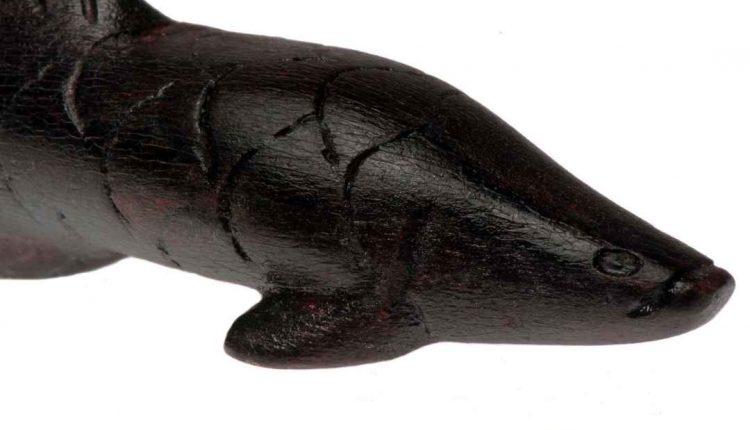 Saiba se o Pirarucu é remoso!