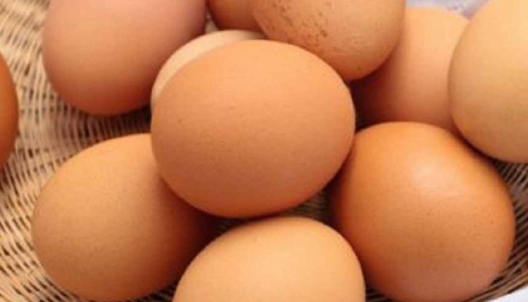 Saiba se o ovo é remoso para piercing