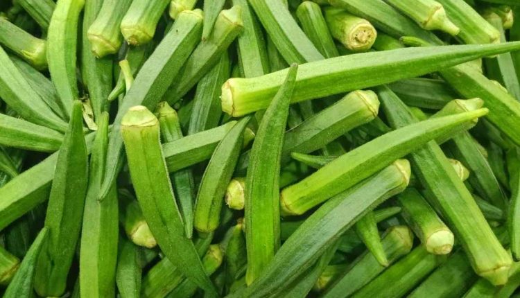 Veja se o quiabo é remoso e como ele é preparado