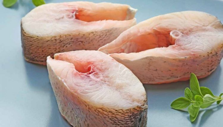 Confira o que é e se o peixe dourado é remoso