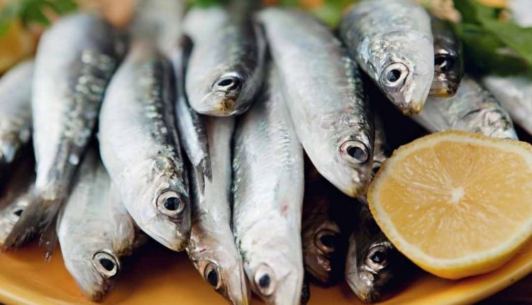 A sardinha é remoso ou não