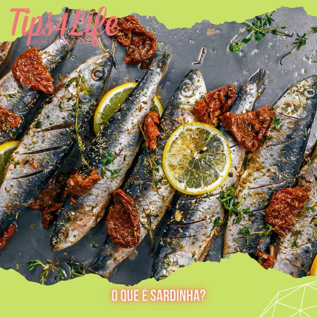 A sardinha é remoso ou não? - Tips4Life