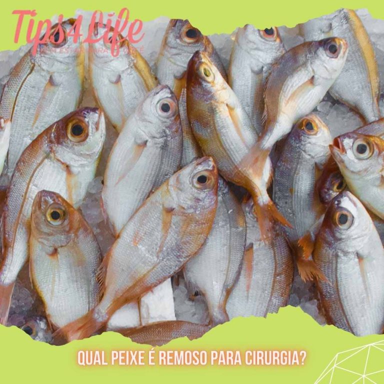 Qual peixe é remoso para cirurgia e como evitar? - Tips4Life