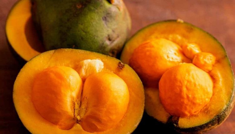 Saiba se o Pequi é remoso ou não!