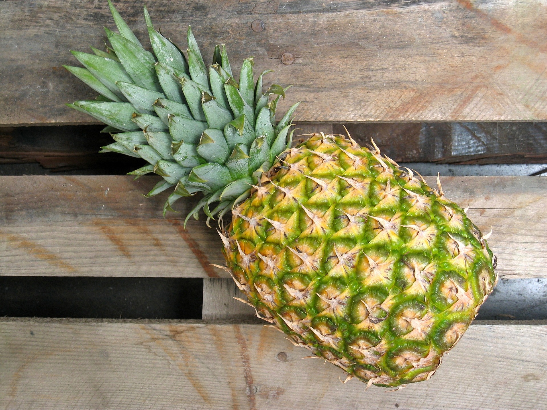 suco-detox-de-abacaxi