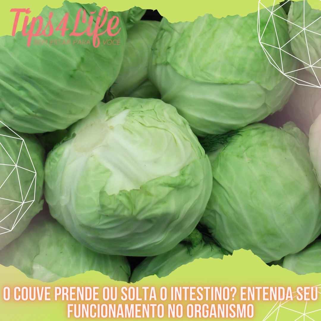 O couve prende ou solta o intestino Entenda seu funcionamento no organismo