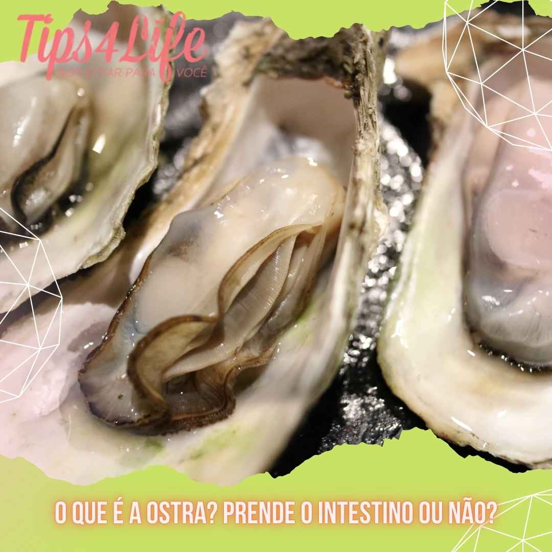 O que é a ostra Prende o intestino ou não
