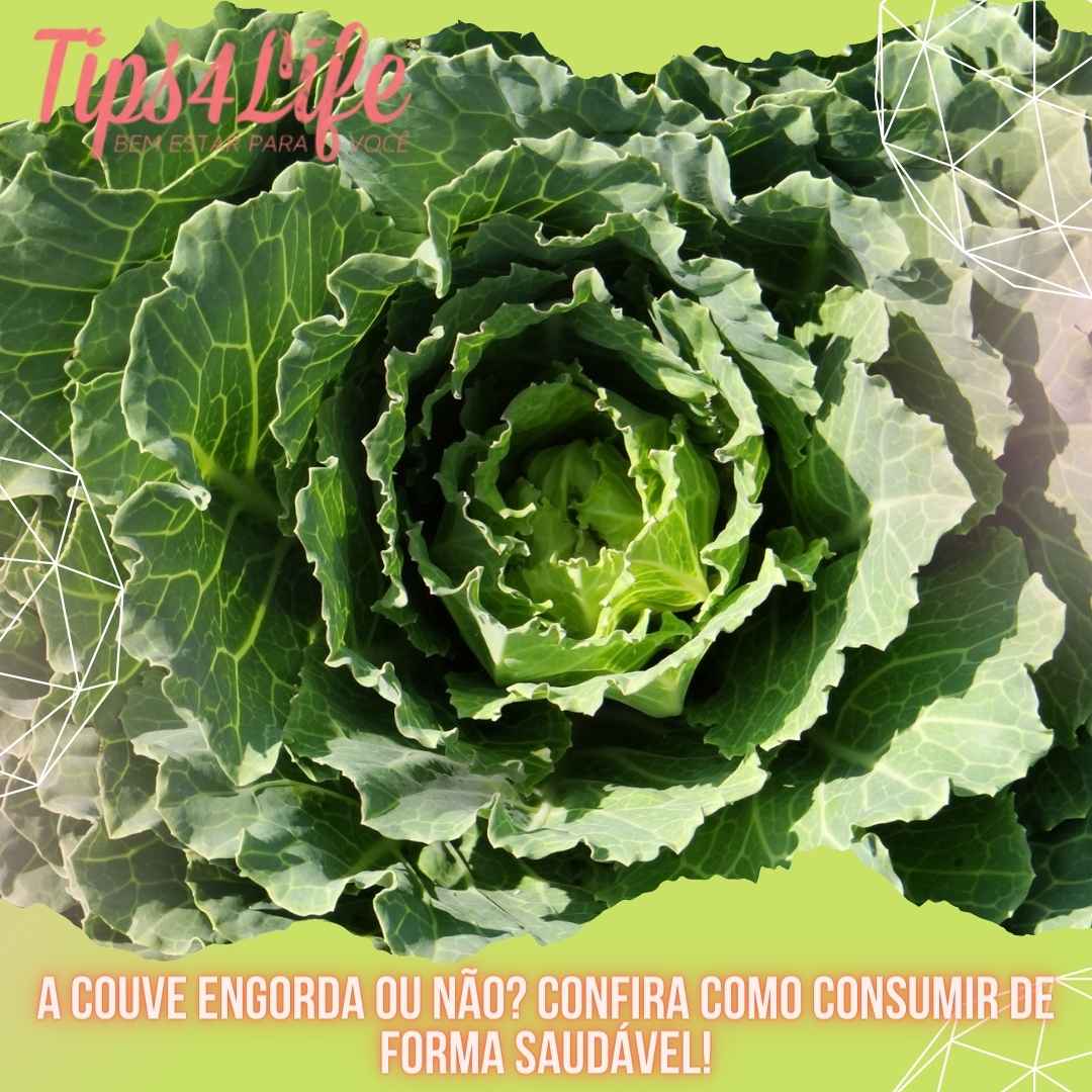 A couve engorda ou não? Confira como consumir de forma saudável!