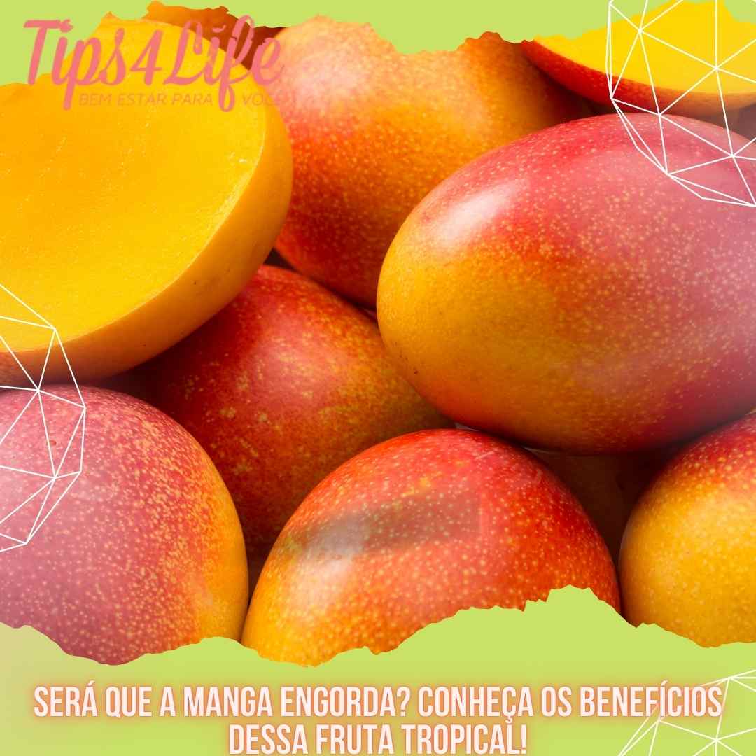 Será que a manga engorda? Conheça os benefícios dessa fruta tropical!
