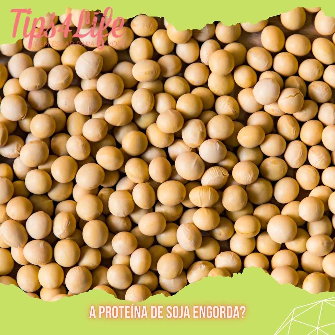 A proteína de soja engorda