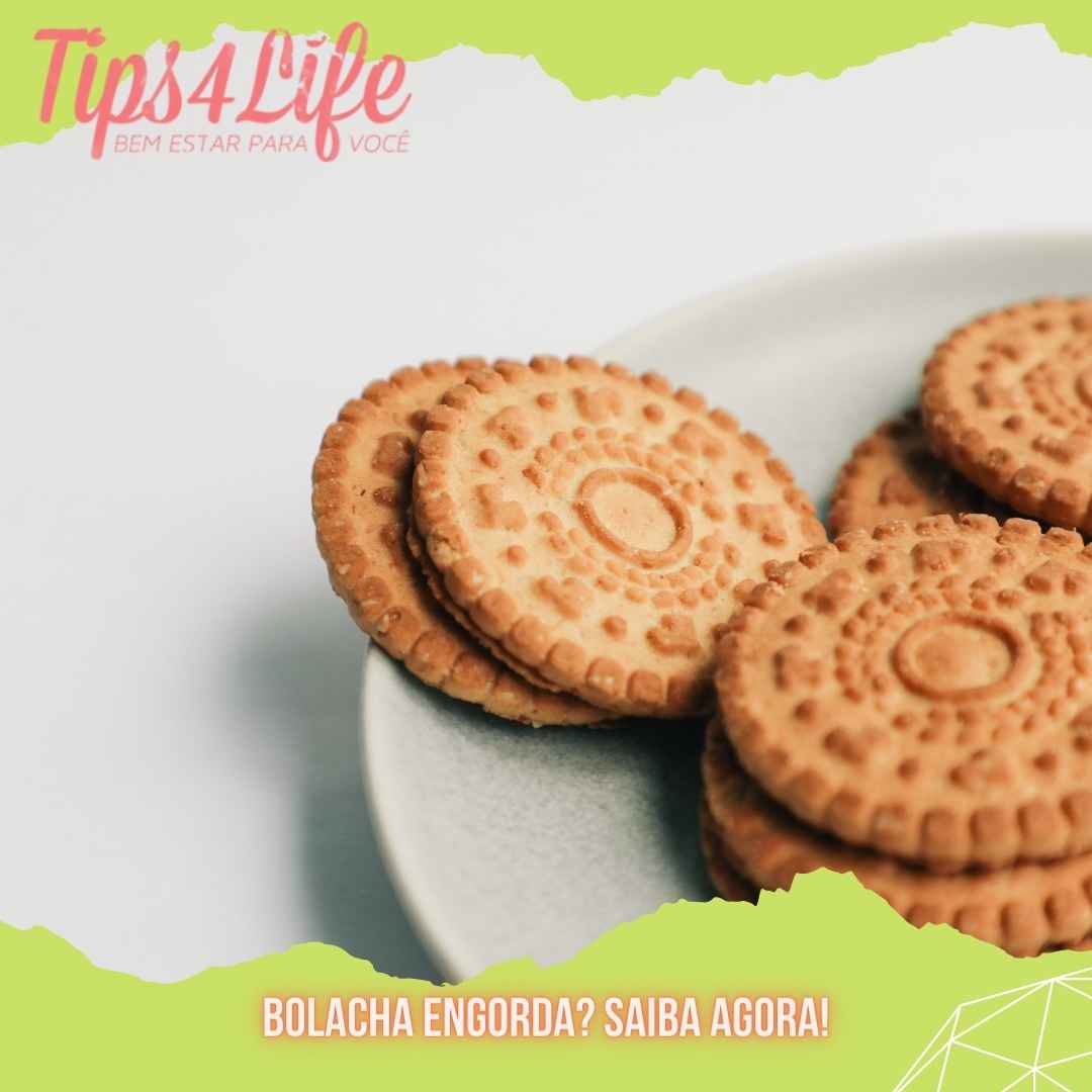 Bolacha engorda Saiba agora!