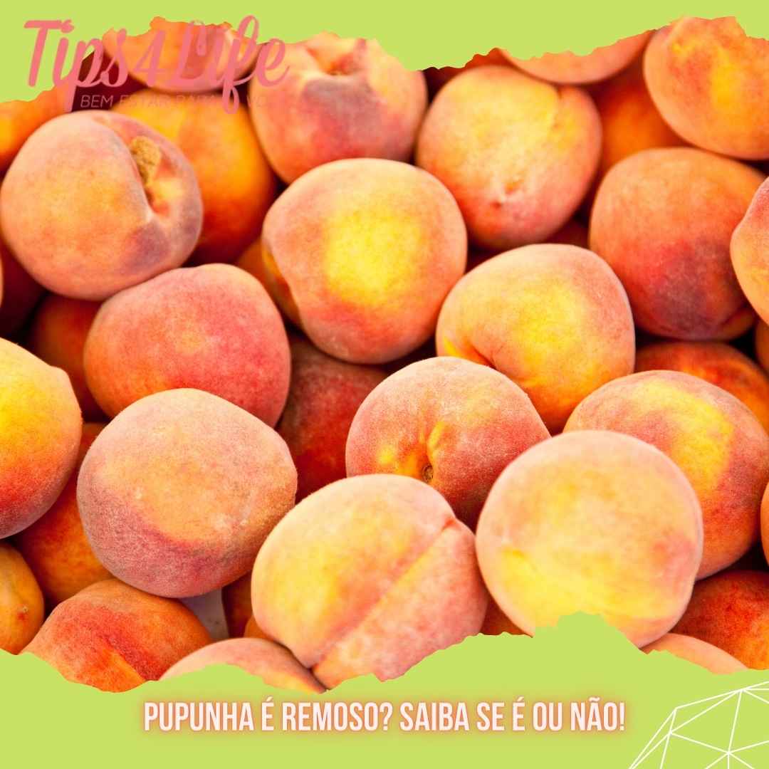 Pupunha é remoso Saiba se é ou não!