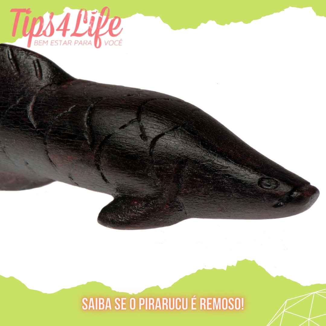 Saiba se o Pirarucu é remoso!