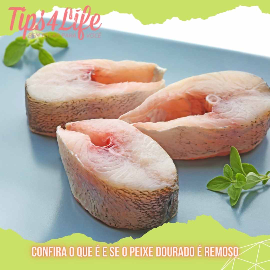 Confira o que é e se o peixe dourado é remoso