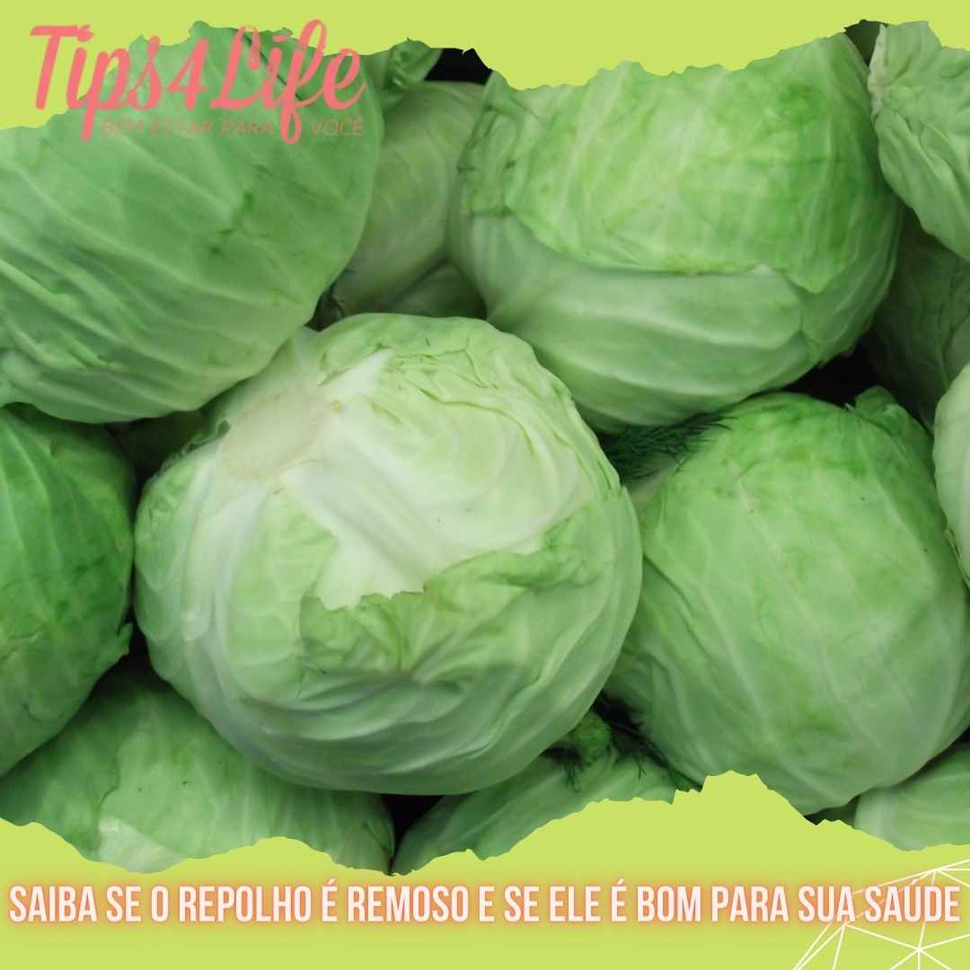 Saiba se o repolho é remoso e se ele é bom para sua saúde