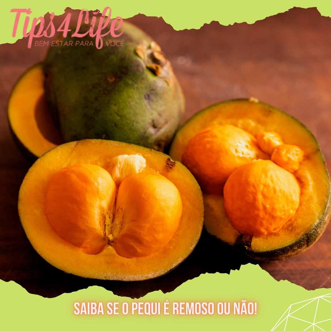 Saiba se o Pequi é remoso ou não!